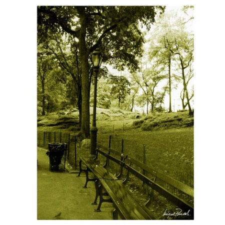 Trademark Fine Art Miguel Paredes 'Pines IV' Canvas Art, 26x32 MP0009-C2632GG